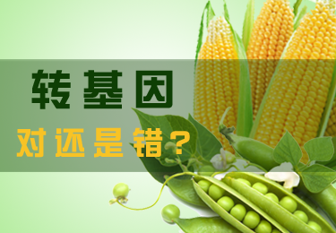 轉(zhuǎn)基因是對(duì)還是錯(cuò)？