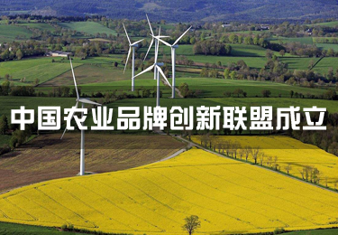 中國(guó)農(nóng)業(yè)品牌創(chuàng)新聯(lián)盟成立