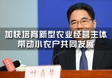 葉貞琴：加快培育新型農(nóng)業(yè)經(jīng)營(yíng)主體 帶動(dòng)小農(nóng)戶共同發(fā)展