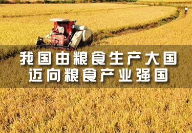 我國(guó)由糧食生產(chǎn)大國(guó)邁向糧食產(chǎn)業(yè)強(qiáng)國(guó)