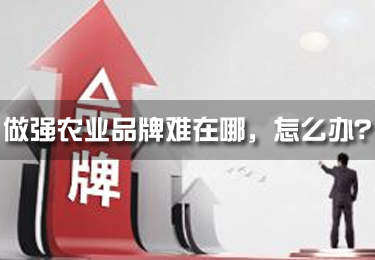 做強(qiáng)農(nóng)業(yè)品牌難在哪，怎么辦？