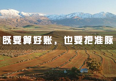 土地調劑：既要算好賬，也要把準脈