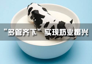 “多管齊下”實現奶業振興