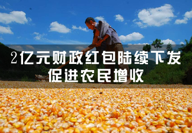 大手筆！2億元財政紅包陸續下發，促進農民增收