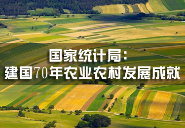 國家統計局：建國70年農業農村發展成就