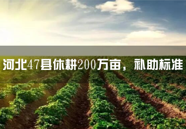發錢啦！河北47縣休耕200萬畝，補助標準