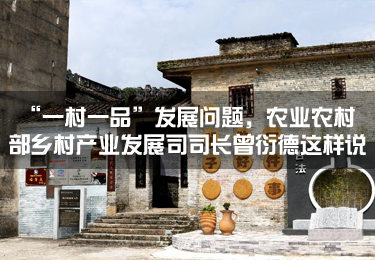 “一村一品”發(fā)展問題，農(nóng)業(yè)農(nóng)村部鄉(xiāng)村產(chǎn)業(yè)發(fā)展司司長曾衍德這樣說