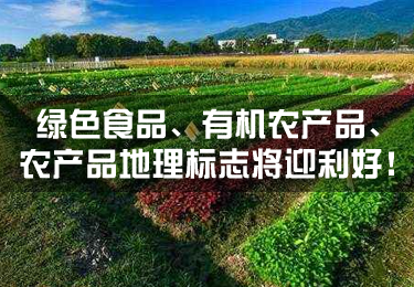 綠色食品、有機(jī)農(nóng)產(chǎn)品、農(nóng)產(chǎn)品地理標(biāo)志將迎利好！