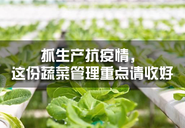 抓生產(chǎn)抗疫情，這份蔬菜管理重點(diǎn)請收好