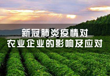 新冠肺炎疫情對(duì)農(nóng)業(yè)企業(yè)的影響及應(yīng)對(duì)