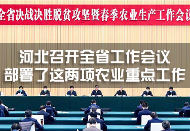 河北召開全省工作會(huì)議，部署了這兩項(xiàng)農(nóng)業(yè)重點(diǎn)工作