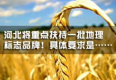 河北將重點(diǎn)扶持一批地理標(biāo)志品牌！具體要求是……