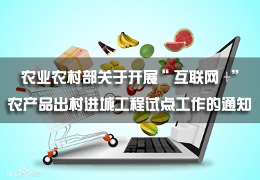 農業農村部關于開展“互聯網+”農產品出村進城工程試點工作的通知