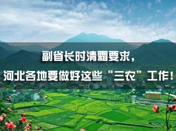 副省長時清霜要求，河北各地要做好這些“三農”工作！
