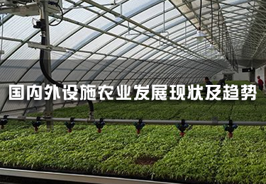 國內外設施農業發展現狀及趨勢