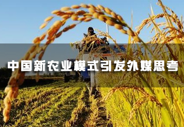 中國新農業模式引發外媒思考