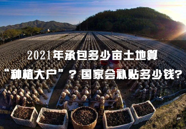 2021年承包多少畝土地算“種植大戶”？國家會補貼多少錢？