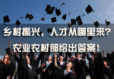 鄉村振興，人才從哪里來？農業農村部給出答案！