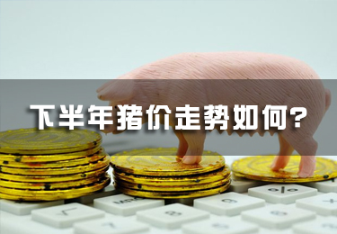 下半年豬價走勢如何？
