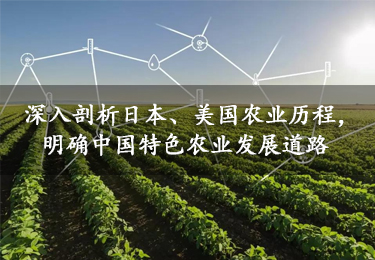 【行業資訊】深入剖析日本、美國農業歷程，明確中國特色農業發展道路