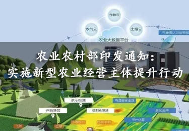 【關注】農業農村部印發通知：實施新型農業經營主體提升行動