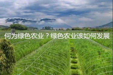 何為綠色農業？綠色農業該如何發展