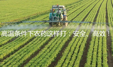 高溫條件下農藥這樣打：安全、高效