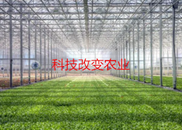 科技改變農業，揭秘智慧農業的奧秘？