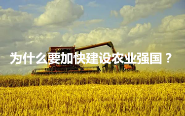 為什么要加快建設農業強國？