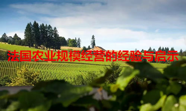法國農(nóng)業(yè)規(guī)模經(jīng)營的經(jīng)驗與啟示