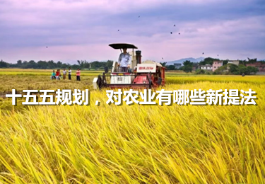 十五五規(guī)劃，20次提到農(nóng)業(yè)，有哪些新提法